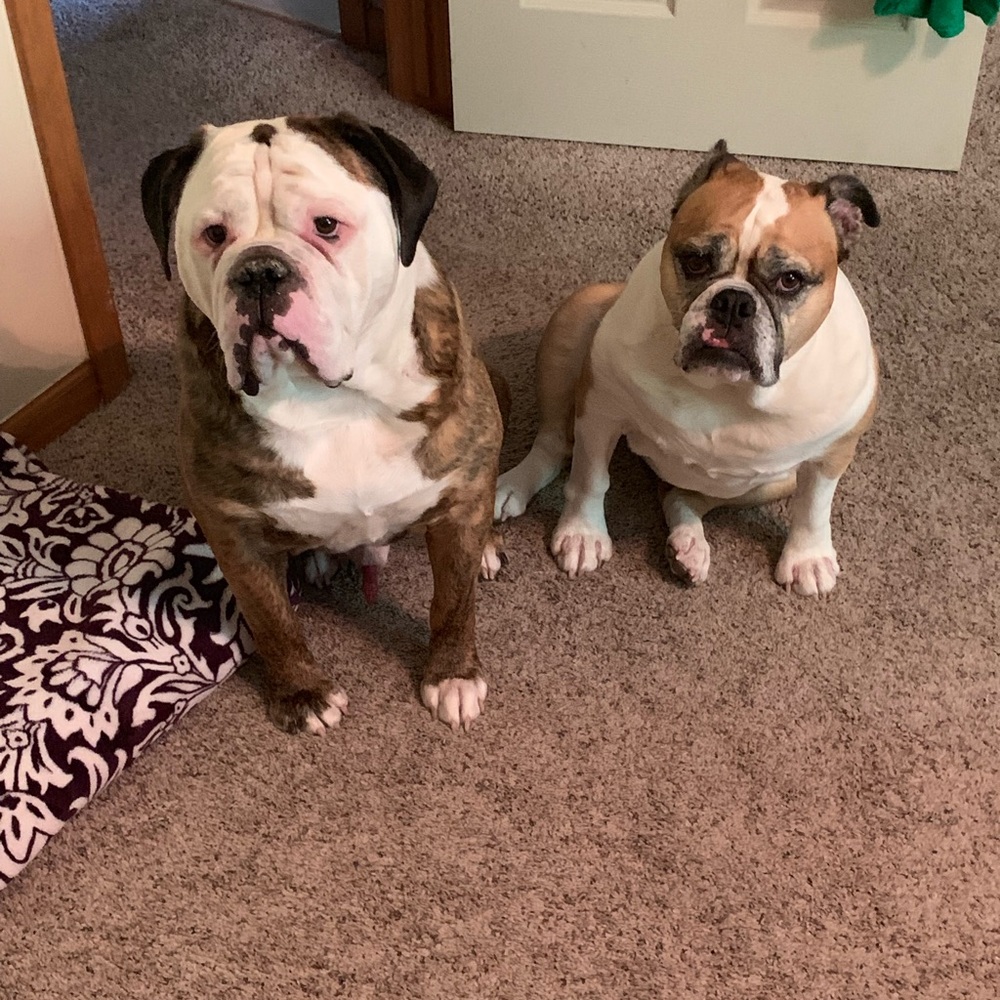 Meet your posher - Picture 3 of 3